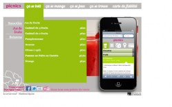Site internet et smartphone (2 en 1) pour www.picnics.fr