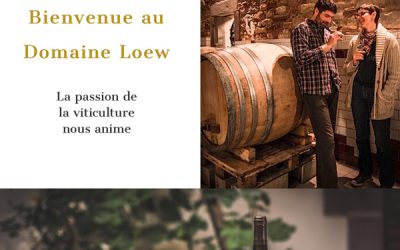 Nouveau site pour le Domaine Loew