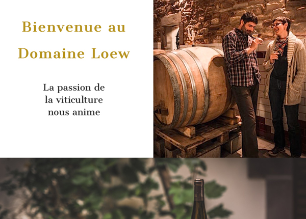 Nouveau site pour le Domaine Loew